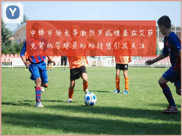 中锋市场竞争激烈罗威理查兹艾萨克弩机等球员纷纷待售引发关注