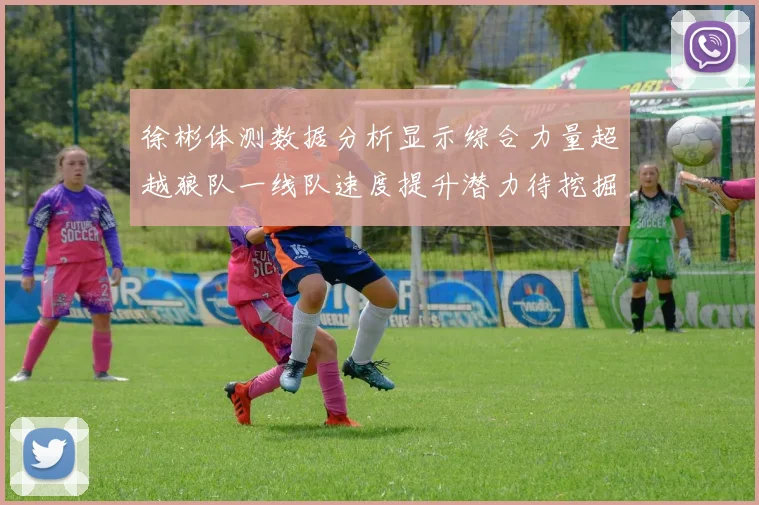 徐彬体测数据分析显示综合力量超越狼队一线队速度提升潜力待挖掘