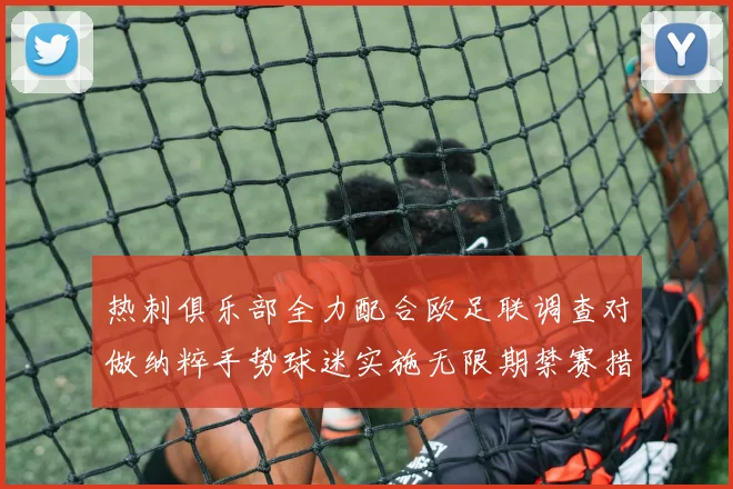 热刺俱乐部全力配合欧足联调查对做纳粹手势球迷实施无限期禁赛措施